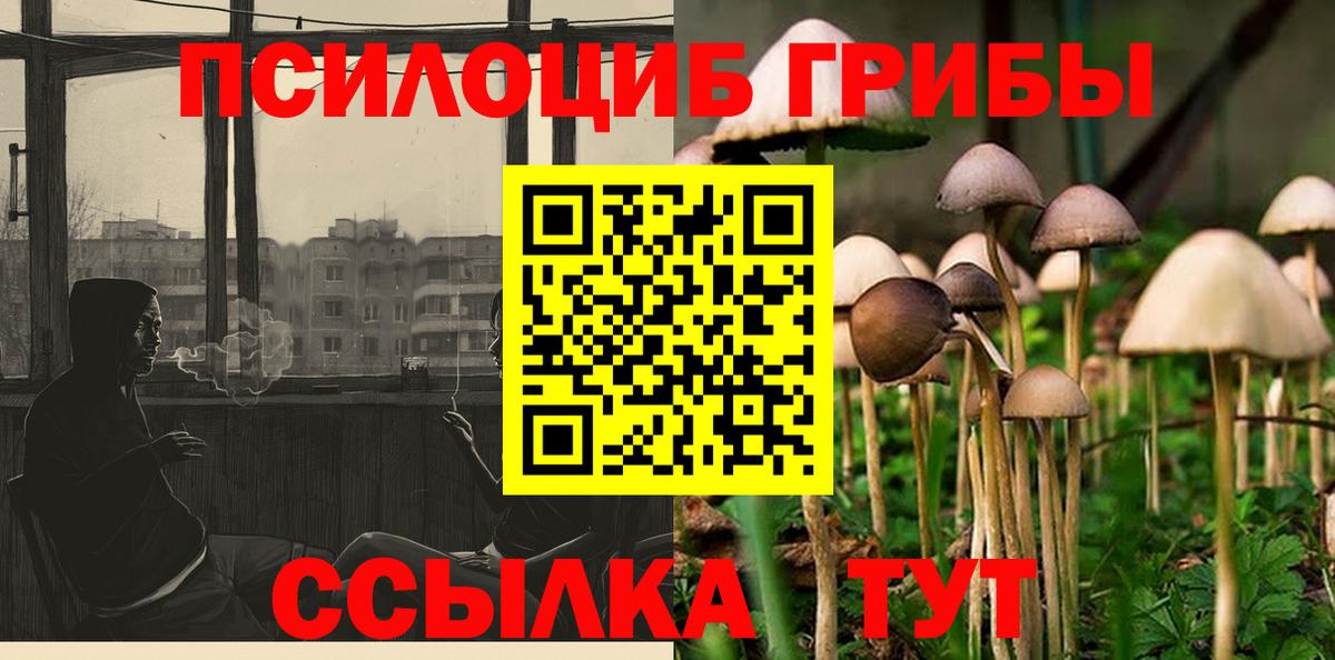 Галлюциногенные грибы Cubensis  Вход с VPN  Галлюциногенные грибы MAGIC MUSHROOMS  Сунжа 