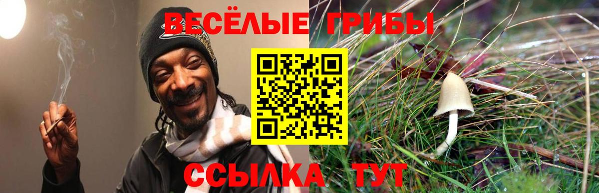 Галлюциногенные грибы MAGIC MUSHROOMS Сунжа